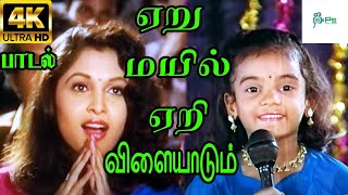 Yaeru Mayil Yaeri