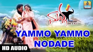 Yammo Yammo