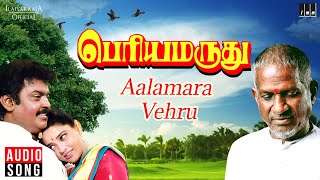 Aalamara Vehru