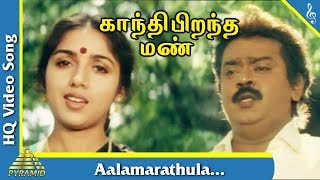 Aalamarathula