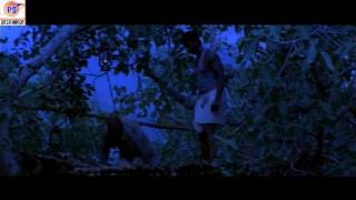 Adadaa Aghangaara Arakka Kaigalil