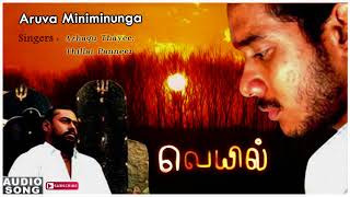 Aruva Miniminunga