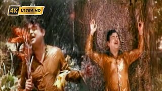 Ayiram Ninaivu Ayiram Kanavu