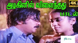 Azhaginil Vilainthadu Mazhaienil