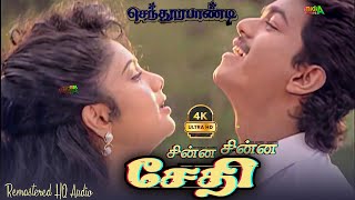 Chinna Chinna Saedhi Solli