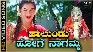 Haalundu Hoge Nagamma