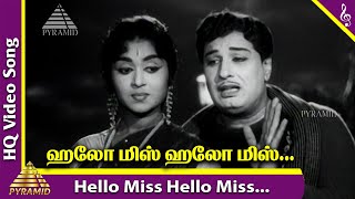 Hello Miss Hello Miss