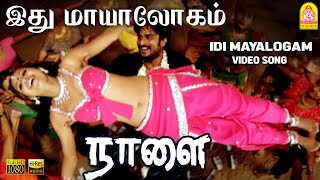 Idi Mayalogam