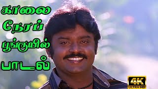 Kaalai Naera Poonghuyil