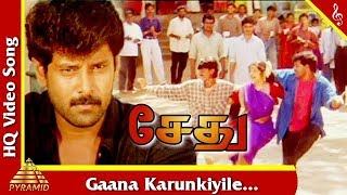 Kaana Karunkuiyile