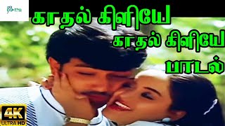 Kadhal Kiliye Kadhal Kiliye
