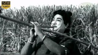 Kallaayi Vandhavan Kadavulamma