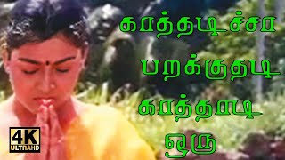 Kathudicha Parakuthadi
