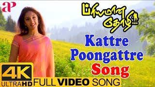 Kattre Poongattre