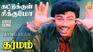 Kattukul Chikkumo Chittu Kuruvi