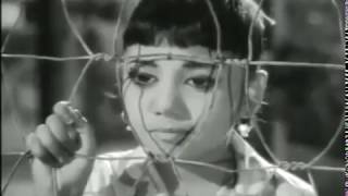 Kozhi Oru Koottiley