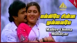 Malliye Chinna Mullaiyae