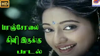 Manjola Kili Iruku