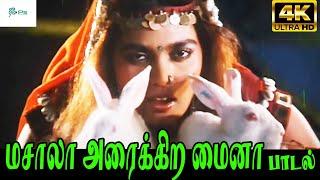 Masala Araikura Maina