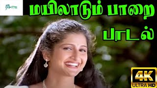 Mayilaadum Paarayila