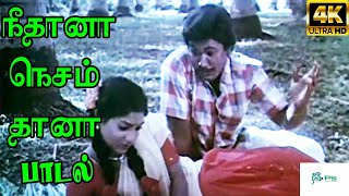 Neethana Nesam Thana