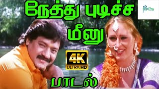 Nethu Pudicha Meenu