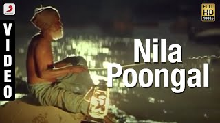 Nila Poongal Malayalam