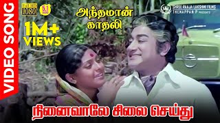 Ninaivale Silai Seithu