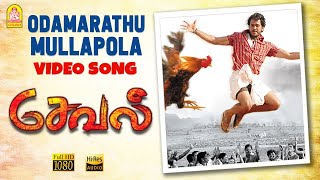 Odamarathu Mullapola
