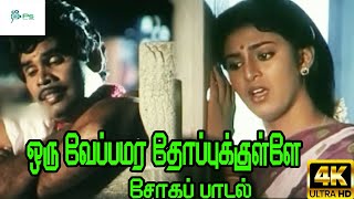 Oru Veppamara Thoppu