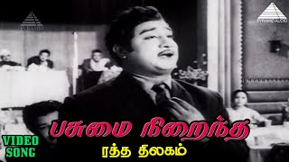 Pasumai Niraintha