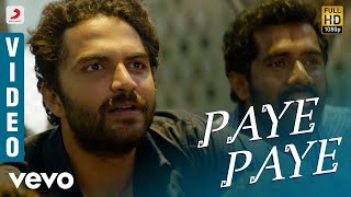 Paye Paye