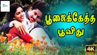 Poojaikketha Poovithu