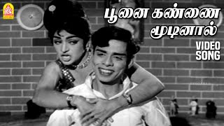 Poonai Kannai Moodinal