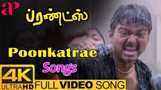 Poonkatre Konjam