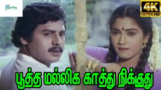 Pootha Malliga Kathu Nikkuthu