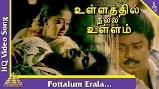 Pottalum Erala