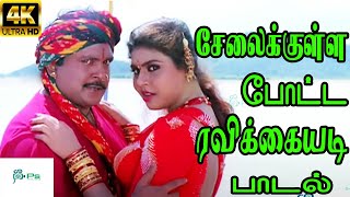 Selaikku Potta