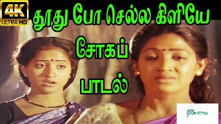 Thoothu Po Chella Kiliye