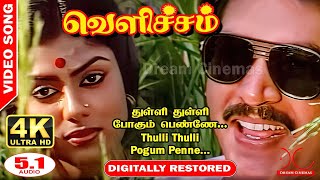 Thulli Thulli Pogum Penne