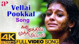 Vellai Pookal