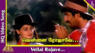Vellai Rojave