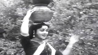 Kaadu Kodutha Kaniyirukku