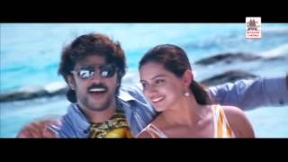 Kathara Kathara