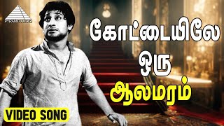 Kottaiyile Oru Aalamaram