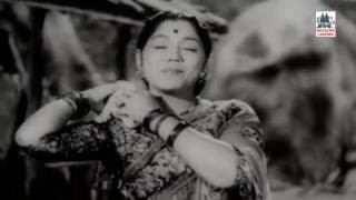 Miyav Miyav Poonai Kutti