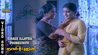 Sirage Illatha Poonkuruvi