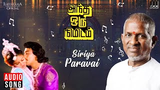 Siriya Paravai