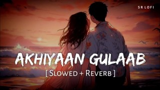 Akhiyaan Gulaab (Slowed + Reverb)