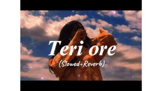 Teri Ore (Slowed + Reverb)